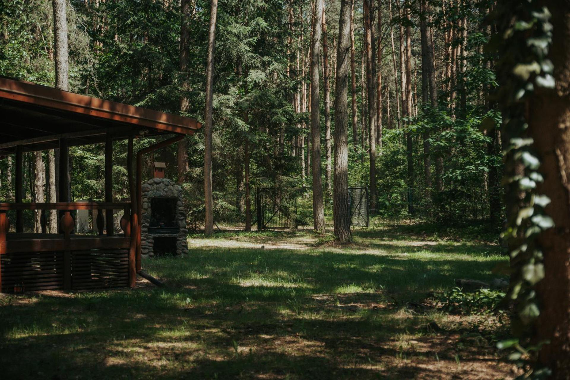 Forest Cabin - 50Min Od Warszawy Wola Polska Exterior foto