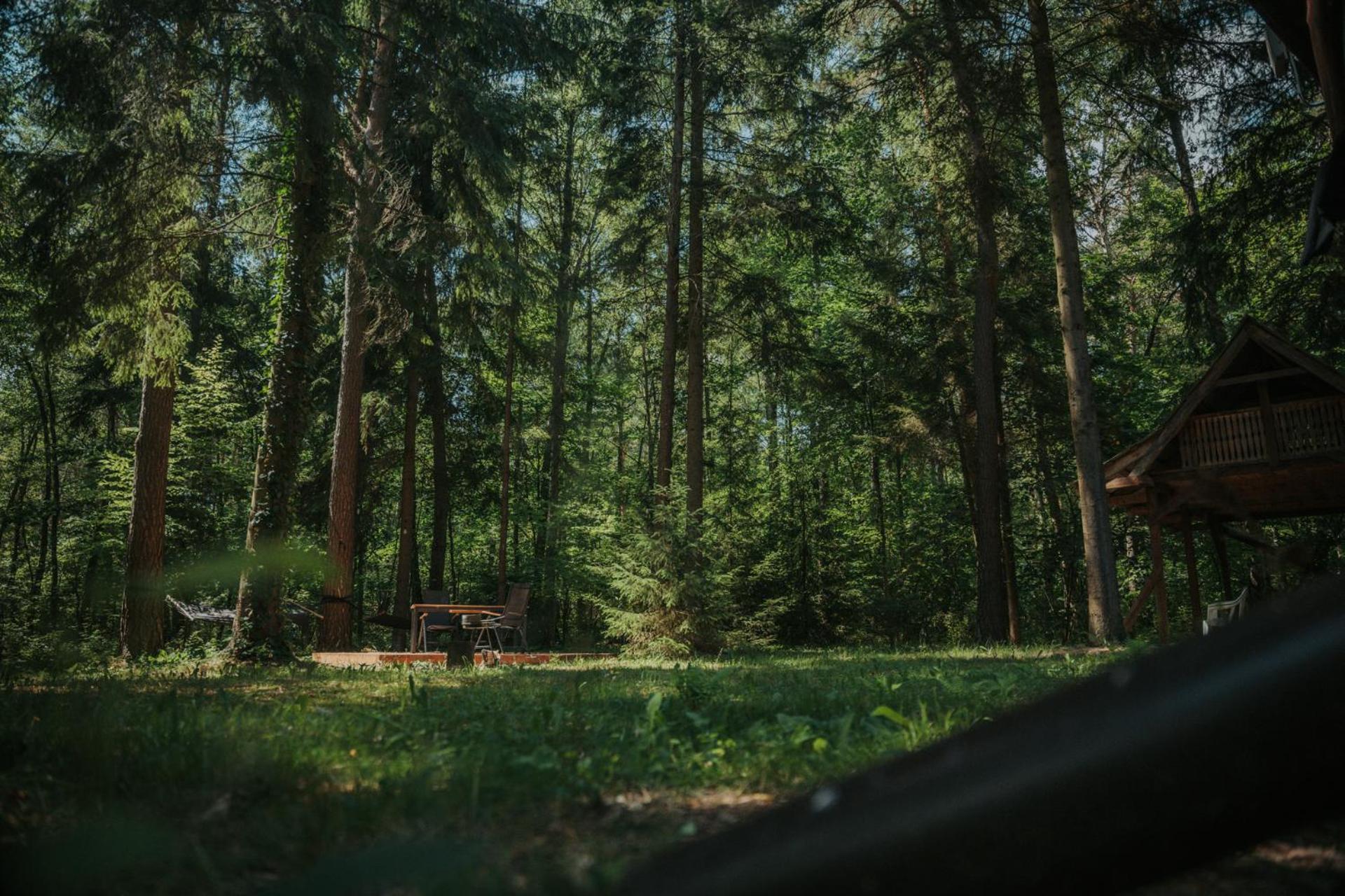 Forest Cabin - 50Min Od Warszawy Wola Polska Exterior foto