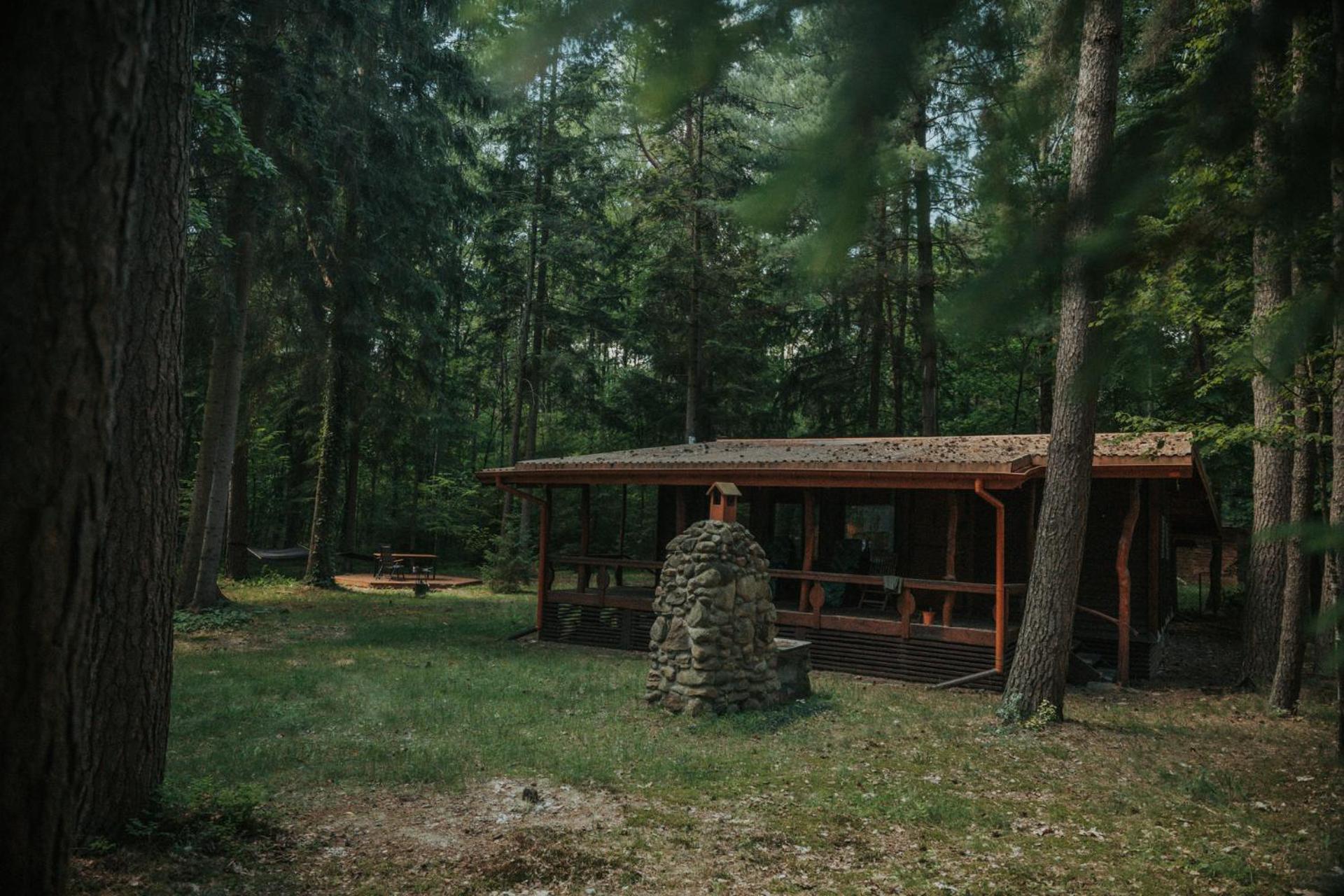 Forest Cabin - 50Min Od Warszawy Wola Polska Exterior foto