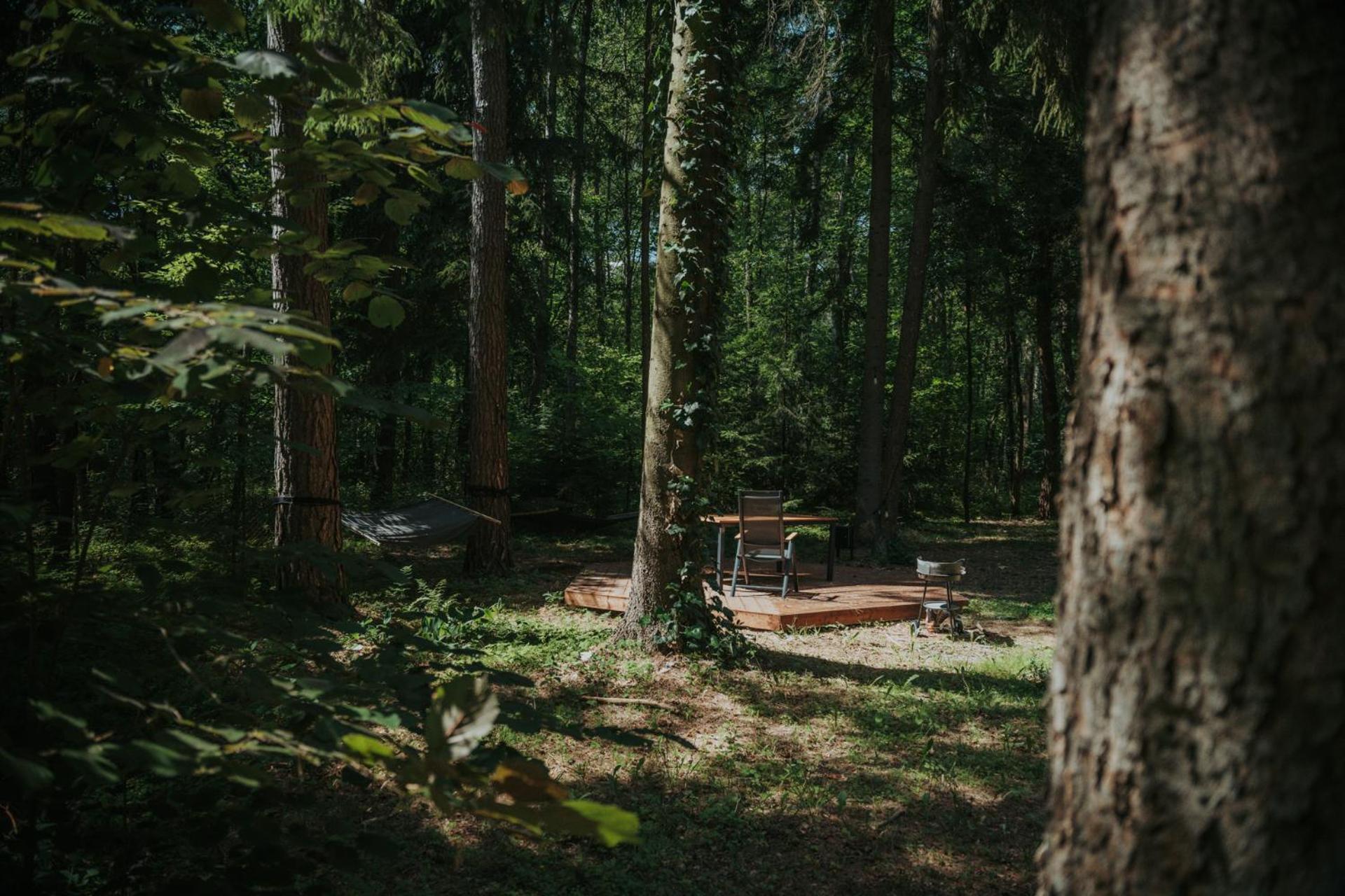 Forest Cabin - 50Min Od Warszawy Wola Polska Exterior foto