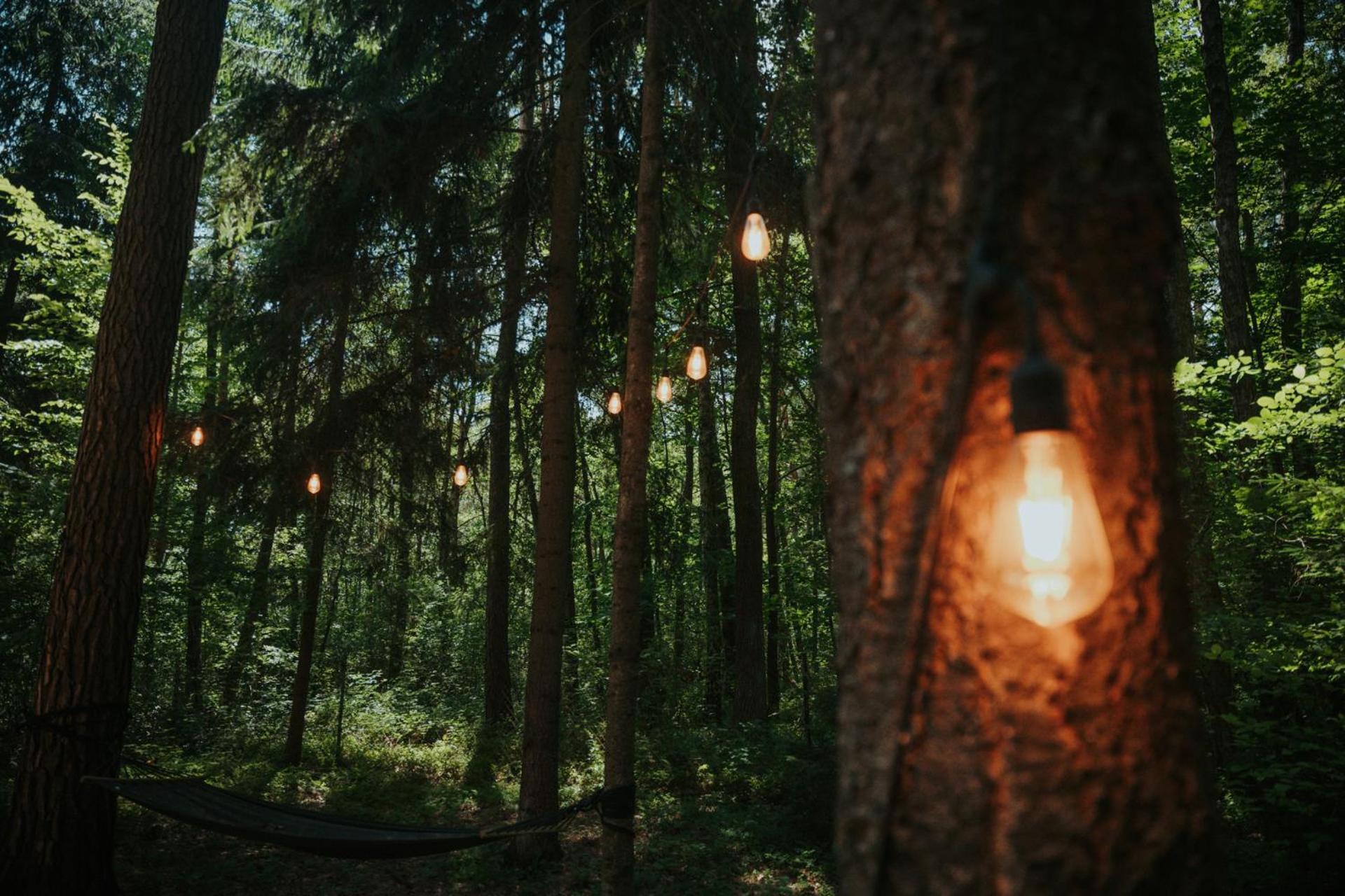 Forest Cabin - 50Min Od Warszawy Wola Polska Exterior foto